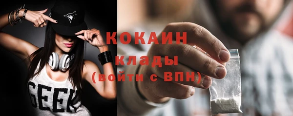 стаф Абинск